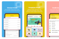 5+ Alasan Jangan Gadai BPKB Buat Pinjam Dana Tunai