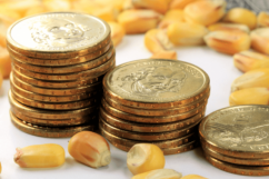 Apakah Investasi Emas untuk Jangka Panjang ? Analisa Harga 25 Tahun