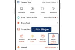5+ Penyebab Kenapa Tidak Bisa Pinjam Lagi di SPinjam Shopee
