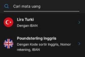 Cara Kirim Uang dari Turki ke Indonesia di BRI BCA Dana