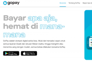 Penyebab Pengajuan GoPay Pinjam Ditolak dan Solusinya