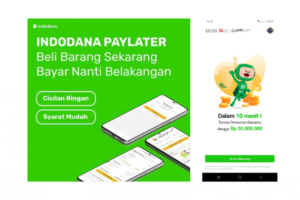Kredit Pintar vs Indodana, Apa Pilihan Terbaik