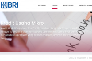 KTA vs KUR, Mana Pinjaman Terbaik Buat Usaha
