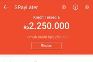 Apakah Shopee PayLater Aman Resmi Terdaftar Legal di OJK