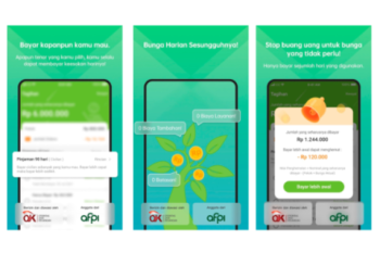 Penyebab Tidak Bisa Pinjam Lagi di Cashcepat | Caranya Agar Bisa