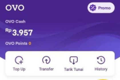 Cara Transfer Uang dari Luar Negeri ke OVO | 24 Jam Sampai