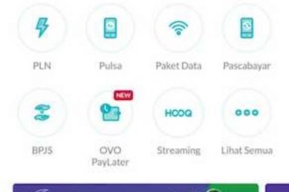 Alasan Penyebab OVO PayLater Tidak Cair Tidak Bisa Digunakan