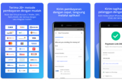 Review Xendit Apakah Aman, Kelebihan Kekurangan