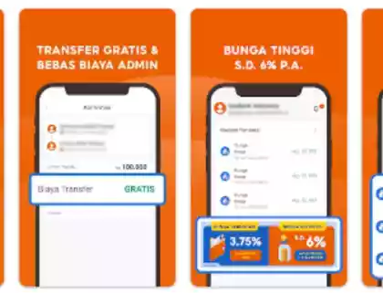 Review Pengalaman Deposito Seabank | Cara Buka dan Ambil