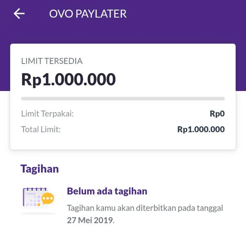 Limit PayLater