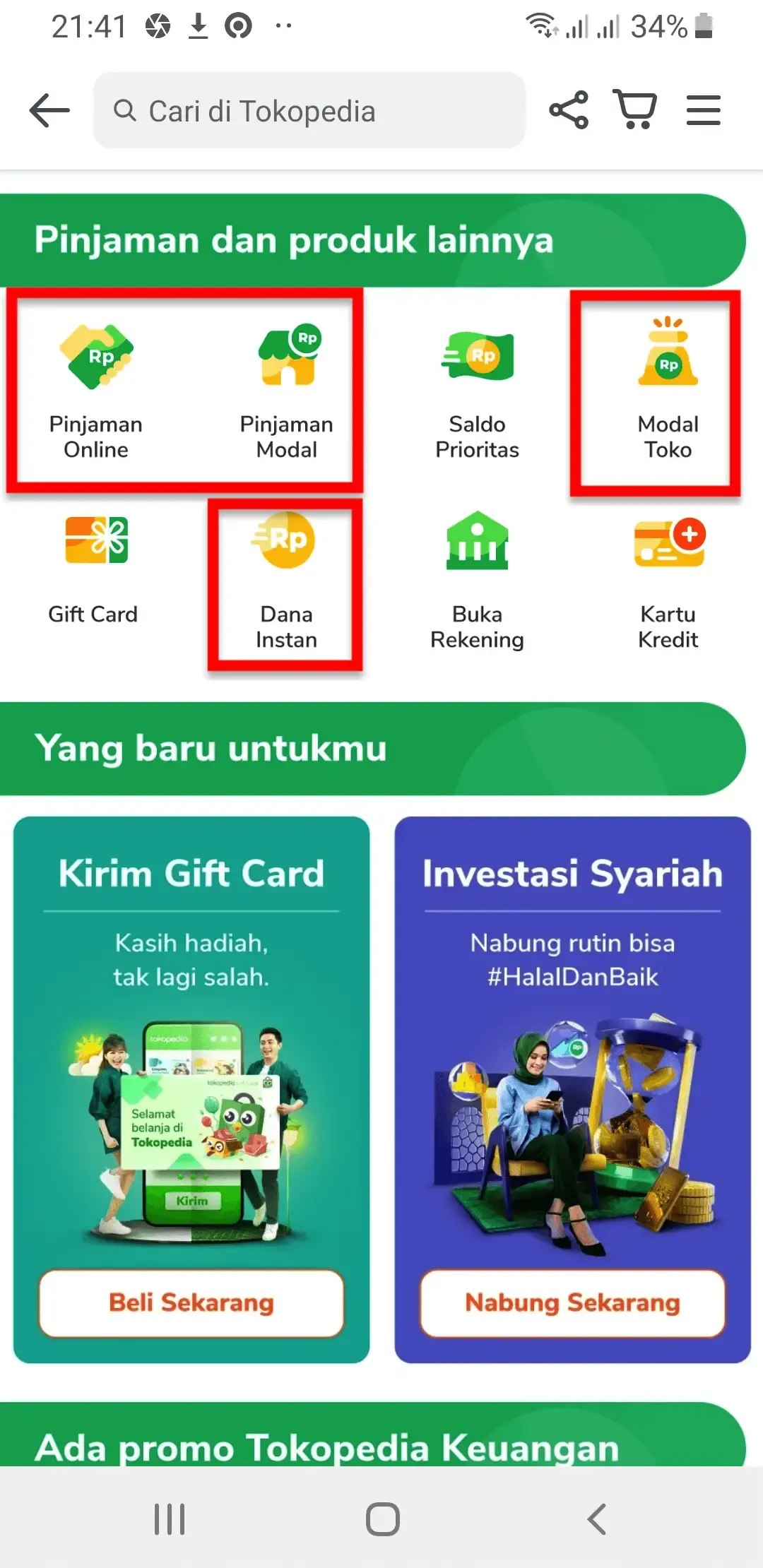 Pinjaman Online Dana Instan