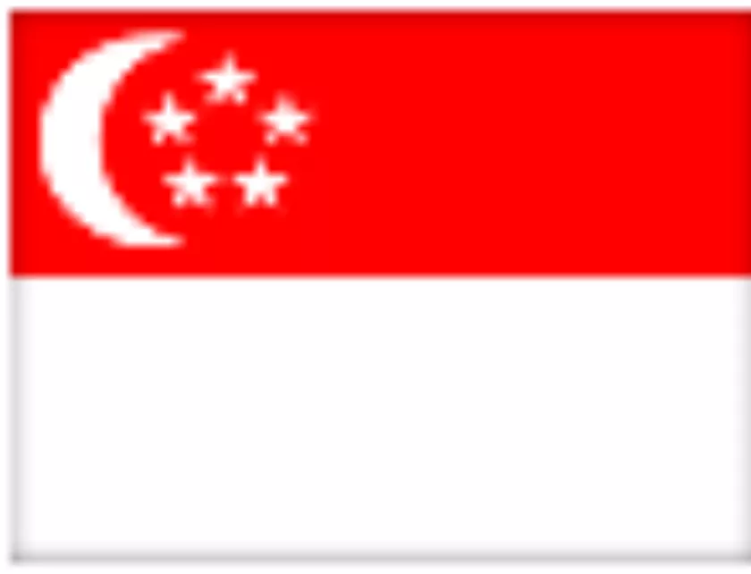 Ekspansi Digital Marketing: Jejak Perusahaan Singapura di Indonesia