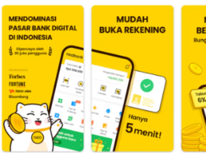 Review Neobank (2024) Kelebihan Dan Kekurangan, Apa Aman