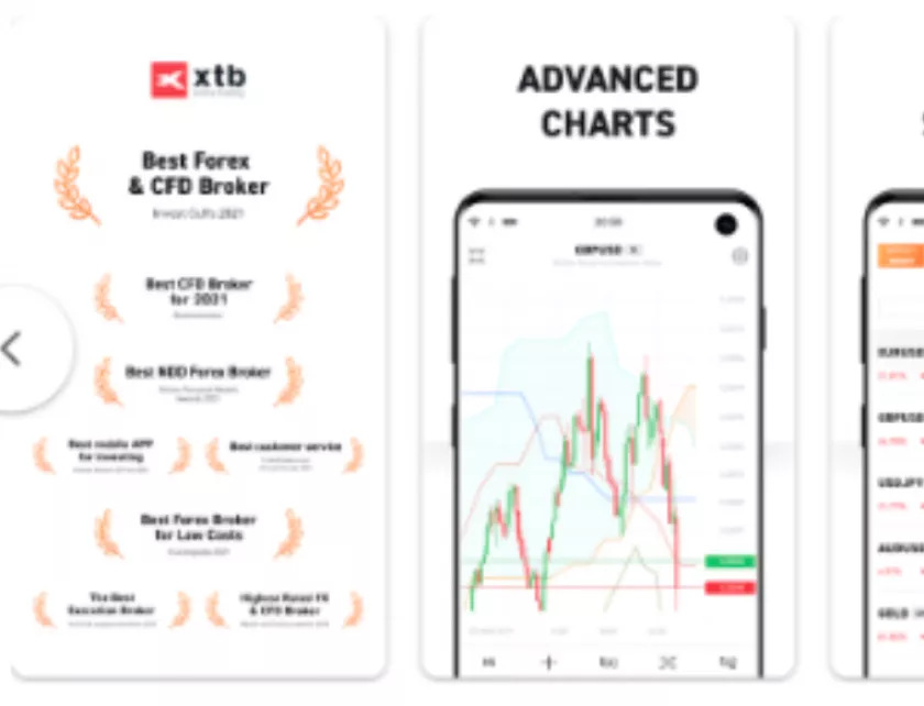 Ndd Broker Forex 2024